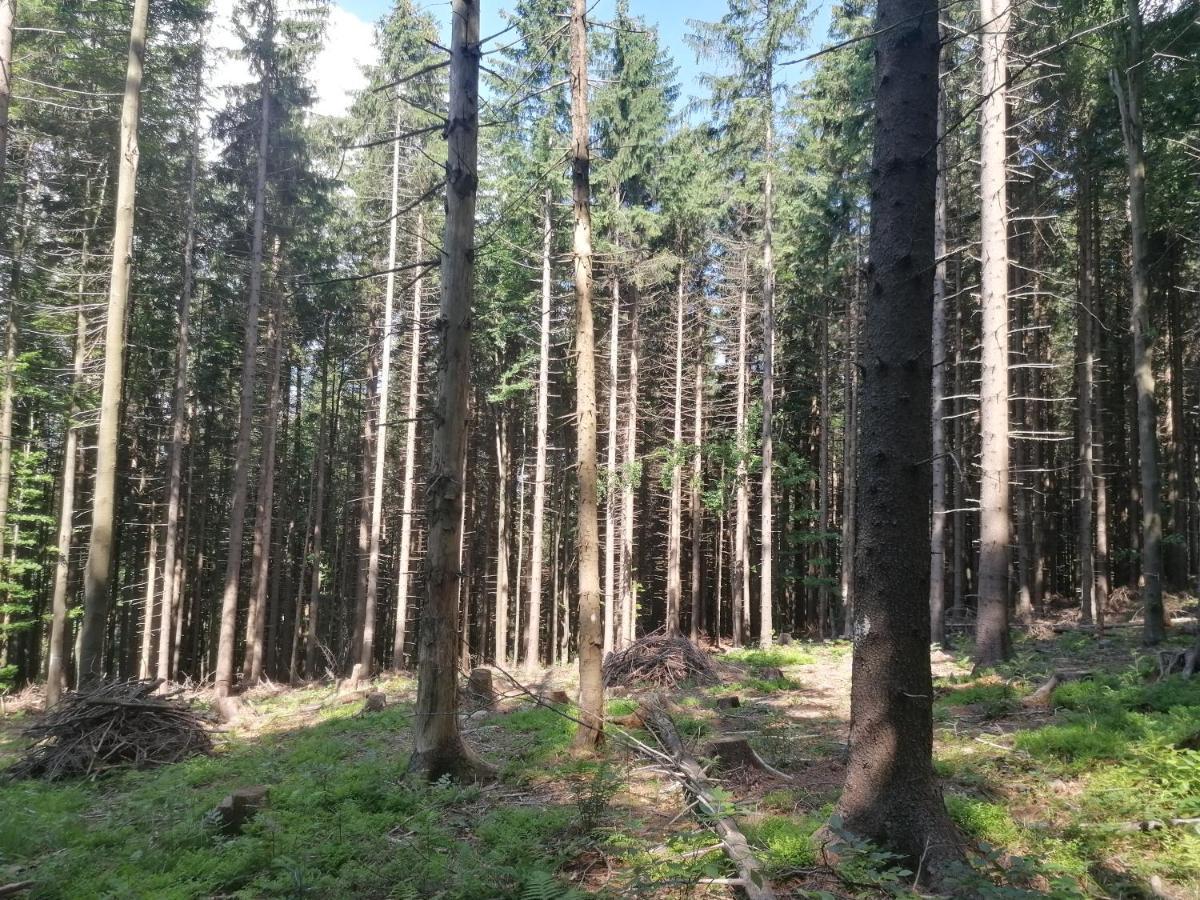 Zakatek Dorimaks Apartment Zawoja Luaran gambar
